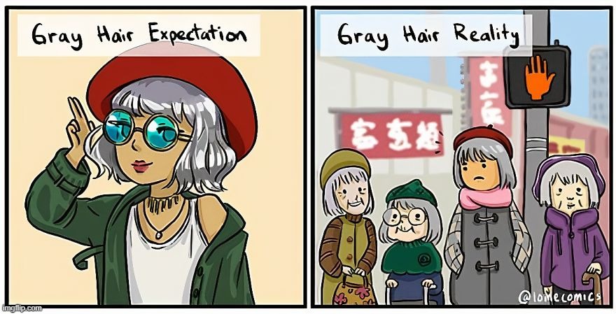 image tagged in hair,gray,grey,expectation vs reality,old women,oof | made w/ Imgflip meme maker