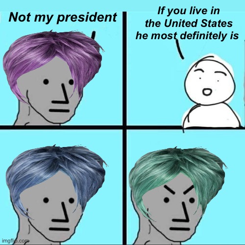 Happy Trump is your president like it or not day | If you live in the United States he most definitely is; Not my president | image tagged in npc meme,politics lol,memes,liberal logic,stupid people | made w/ Imgflip meme maker