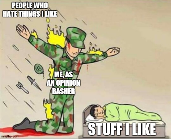 I am an opinion basher | PEOPLE WHO HATE THINGS I LIKE; ME, AS AN OPINION BASHER; STUFF I LIKE | image tagged in soldier protecting sleeping child | made w/ Imgflip meme maker