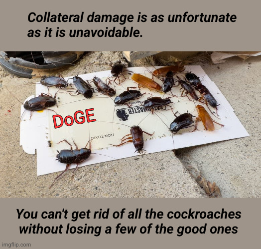 DoGE and collateral damage | Collateral damage is as unfortunate
as it is unavoidable. DoGE; You can't get rid of all the cockroaches
without losing a few of the good ones | image tagged in doge,musk,trump,waste,fraud and abuse | made w/ Imgflip meme maker