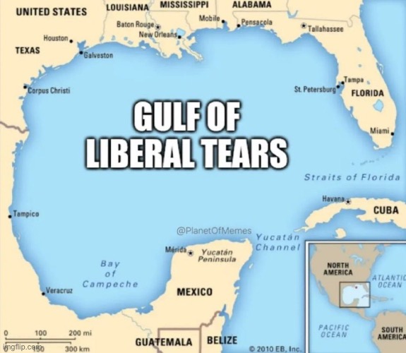 Gulf of Liberal Tears | image tagged in liberal tears | made w/ Imgflip meme maker