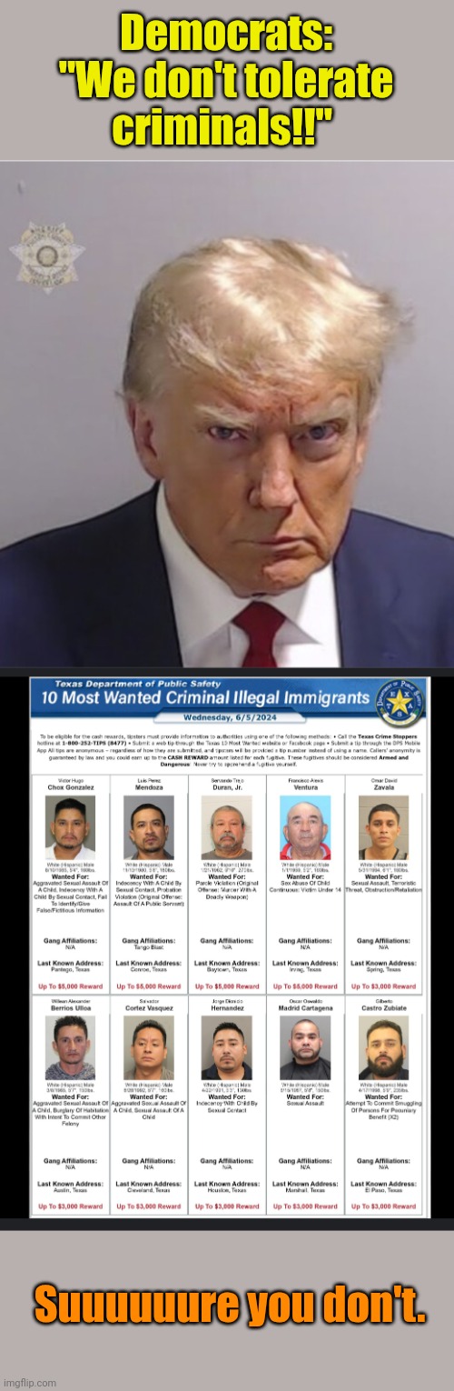 They don't need to listen to us... They need to listen to THEMSELVES. | Democrats:
"We don't tolerate criminals!!"; Suuuuuure you don't. | made w/ Imgflip meme maker