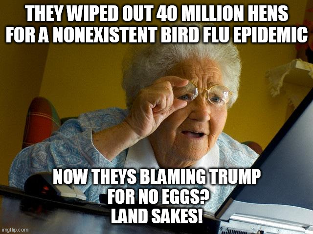 You can't BS Granny | THEY WIPED OUT 40 MILLION HENS FOR A NONEXISTENT BIRD FLU EPIDEMIC; NOW THEYS BLAMING TRUMP
 FOR NO EGGS?
LAND SAKES! | image tagged in memes,grandma finds the internet,bullshit,propaganda | made w/ Imgflip meme maker