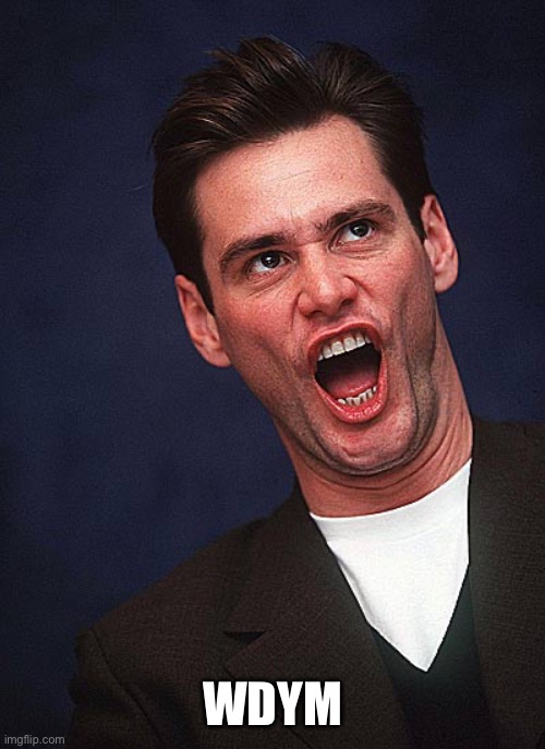 jim carrey duh  | WDYM | image tagged in jim carrey duh | made w/ Imgflip meme maker