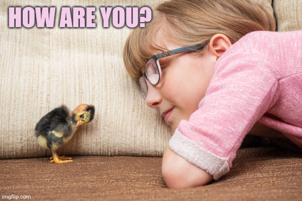 Why Hello... | HOW ARE YOU? | image tagged in memes,fun,girl,hello,how are you,chick | made w/ Imgflip meme maker