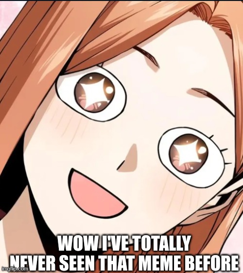 star eyed | WOW I'VE TOTALLY NEVER SEEN THAT MEME BEFORE | image tagged in star eyed | made w/ Imgflip meme maker