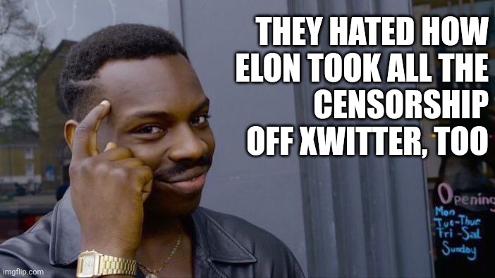 Roll Safe Think About It Meme | THEY HATED HOW
ELON TOOK ALL THE
CENSORSHIP OFF XWITTER, TOO | image tagged in memes,roll safe think about it | made w/ Imgflip meme maker