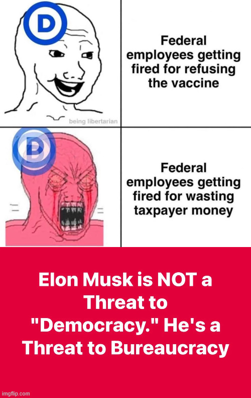 Elon is a threat to their bureaucracy | image tagged in elon,threat to deep state bureaucracy | made w/ Imgflip meme maker