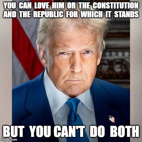 No Doublethink | YOU  CAN  LOVE  HIM  OR  THE  CONSTITUTION AND  THE  REPUBLIC  FOR  WHICH  IT  STANDS; BUT  YOU CAN'T  DO  BOTH | image tagged in donald trump | made w/ Imgflip meme maker