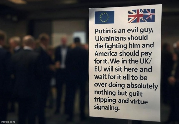 Maybe instead of guilt tripping Americans the EU/UK mobilizes their forces and creates a war time economy | image tagged in putin,zelenskyy,russia,ukraine,eu,uk | made w/ Imgflip meme maker