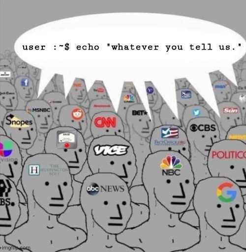 Media NPCs | user :~$ echo "whatever you tell us." | image tagged in media npcs | made w/ Imgflip meme maker