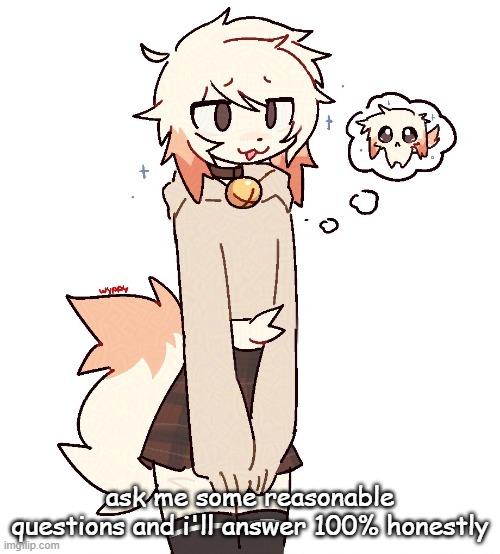 femboy | ask me some reasonable questions and i'll answer 100% honestly | image tagged in femboy | made w/ Imgflip meme maker