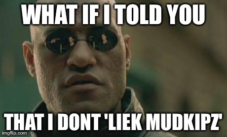 Matrix Morpheus | WHAT IF I TOLD YOU THAT I DONT 'LIEK MUDKIPZ' | image tagged in memes,matrix morpheus | made w/ Imgflip meme maker