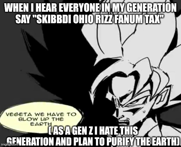 Vegeta we have to blow up the Earth | WHEN I HEAR EVERYONE IN MY GENERATION SAY "SKIBBDI OHIO RIZZ FANUM TAX"; ( AS A GEN Z I HATE THIS GENERATION AND PLAN TO PURIFY THE EARTH) | image tagged in vegeta we have to blow up the earth | made w/ Imgflip meme maker