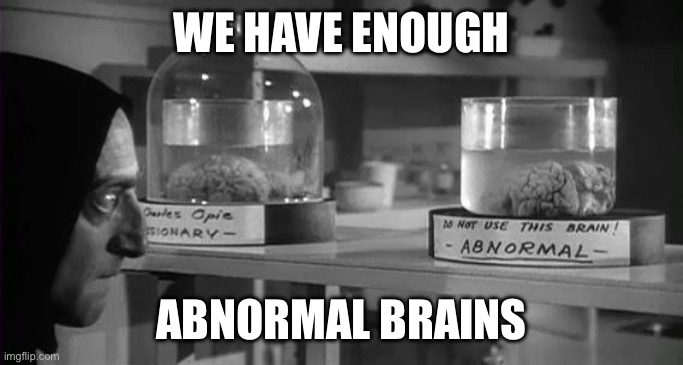 Abby Normal Brain | WE HAVE ENOUGH ABNORMAL BRAINS | image tagged in abby normal brain | made w/ Imgflip meme maker