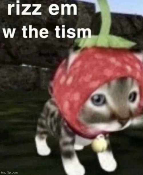 . | image tagged in rizzemwiththetism | made w/ Imgflip meme maker