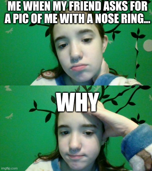 ME WHEN MY FRIEND ASKS FOR A PIC OF ME WITH A NOSE RING... WHY | made w/ Imgflip meme maker