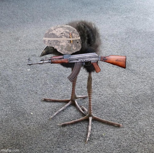 Pukeko chick | image tagged in pukeko chick | made w/ Imgflip meme maker