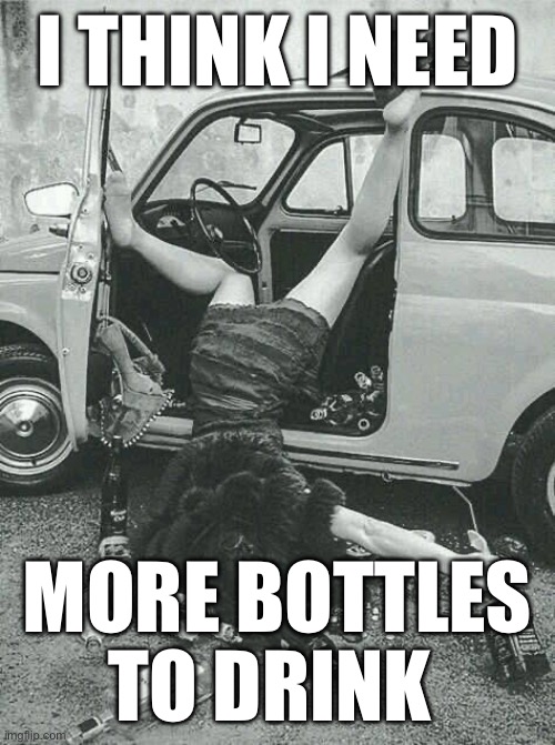 Drunk Girl  | I THINK I NEED; MORE BOTTLES TO DRINK | image tagged in drunk girl | made w/ Imgflip meme maker