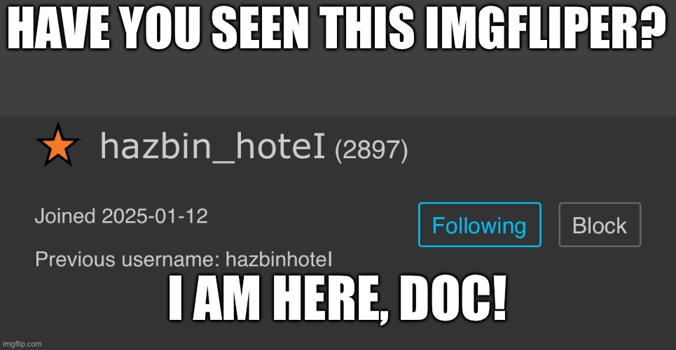 DOC, I AM HERE! I AM THE_BLACK_PEARL! | HAVE YOU SEEN THIS IMGFLIPER? I AM HERE, DOC! | image tagged in memes,lost | made w/ Imgflip meme maker