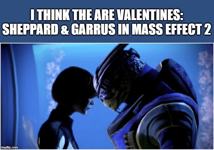 Video game lovers? What about Sheppard & Garrus in Mass Effects 2 | I THINK THE ARE VALENTINES: SHEPPARD & GARRUS IN MASS EFFECT 2 | image tagged in gaming,video games,games,lovers,computer,pc gaming | made w/ Imgflip meme maker