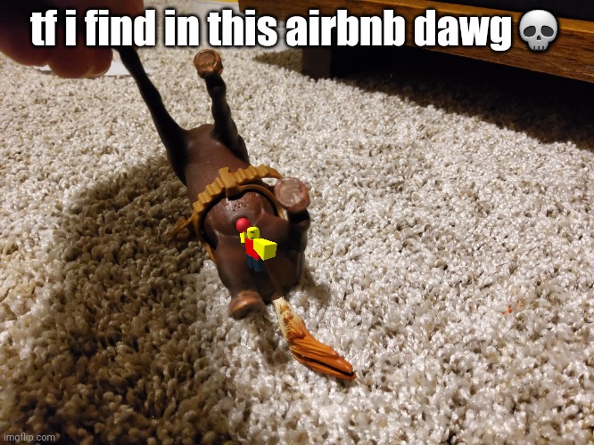 tf i find in this airbnb dawg💀 | made w/ Imgflip meme maker