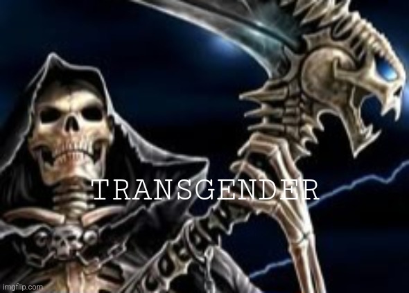 trans flag Blank Meme Template