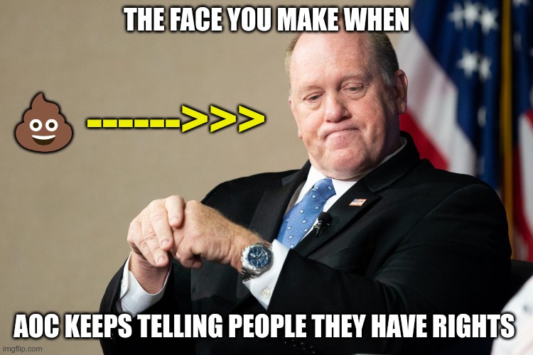 Gestapo Leader | THE FACE YOU MAKE WHEN; 💩 ------>>>; AOC KEEPS TELLING PEOPLE THEY HAVE RIGHTS | image tagged in trump,homan,maga,nazi,fascist,aoc | made w/ Imgflip meme maker