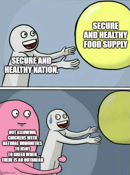 Running Away Balloon | SECURE AND HEALTHY FOOD SUPPLY; SECURE AND HEALTHY NATION. NOT ALLOWING CHICKENS WITH NATURAL IMMUNITIES TO H5N1 TO BREED WHEN THERE IS AN OUTBREAK | image tagged in memes,running away balloon | made w/ Imgflip meme maker