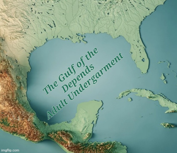 Gulf of Blank | The Gulf of the 
Depends Adult Undergarment | image tagged in gulf of blank | made w/ Imgflip meme maker