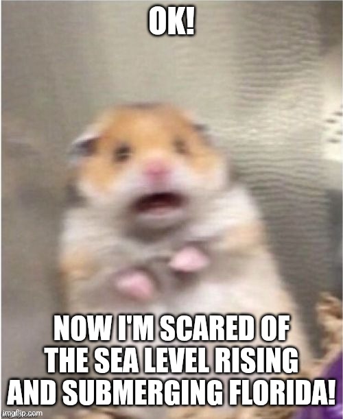 Scared Hamster | OK! NOW I'M SCARED OF THE SEA LEVEL RISING AND SUBMERGING FLORIDA! | image tagged in scared hamster | made w/ Imgflip meme maker