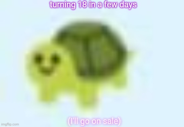 low quality turtle | turning 18 in a few days; (I'll go on sale) | image tagged in low quality turtle | made w/ Imgflip meme maker