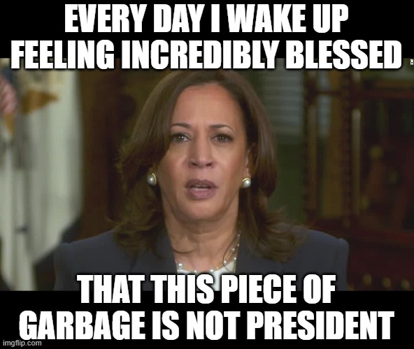 comments bans, dumb leftoids, ignorant demotards.. ya'll just don't matter.  I can't help but smile | EVERY DAY I WAKE UP FEELING INCREDIBLY BLESSED; THAT THIS PIECE OF GARBAGE IS NOT PRESIDENT | image tagged in stupid liberals,funny memes,truth,truth hurts,donald trump approves | made w/ Imgflip meme maker