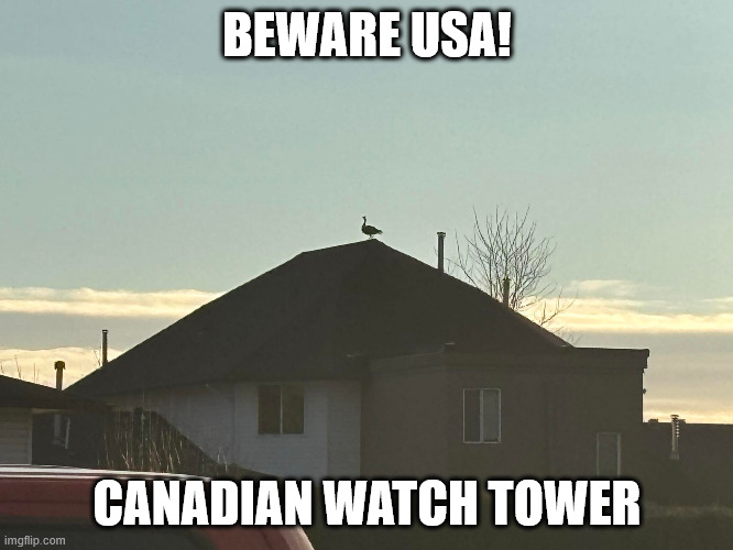 canadian watch tower | BEWARE USA! CANADIAN WATCH TOWER | image tagged in canada,usa,trump,tariffs,border,fight back | made w/ Imgflip meme maker