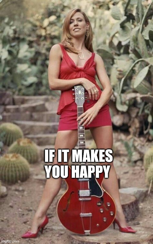 But, you bought the F'ing Car | IF IT MAKES YOU HAPPY | image tagged in sheryl crow,anti47,f elon,cwatididthere | made w/ Imgflip meme maker