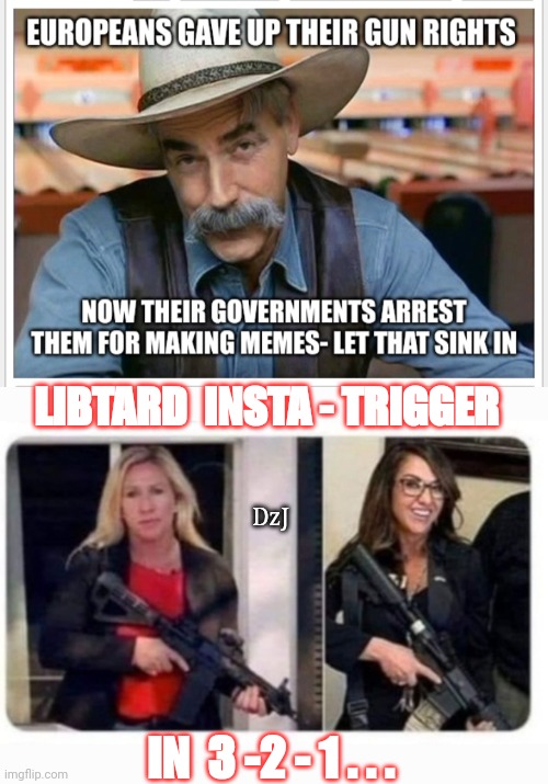 SHALL NOT BE INFRINGED | LIBTARD  INSTA - TRIGGER; DzJ; IN  3 -2 - 1 . . . | image tagged in triggered liberal,libtard,weiner | made w/ Imgflip meme maker