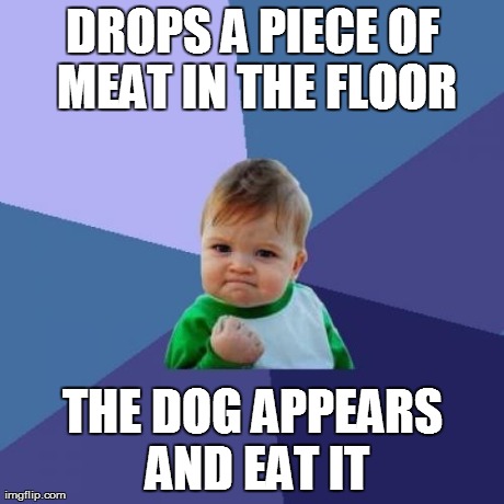 Success Kid Meme | DROPS A PIECE OF MEAT IN THE FLOOR THE DOG APPEARS AND EAT IT | image tagged in memes,success kid | made w/ Imgflip meme maker