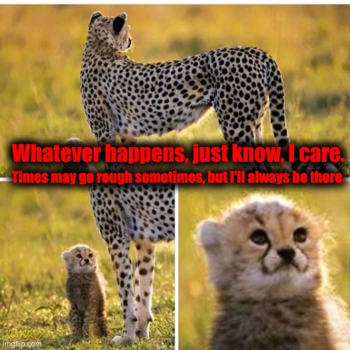 Smol cheetah | Whatever happens, just know, I care. Times may go rough sometimes, but I'll always be there. | image tagged in smol cheetah,wholesome memes,you are loved | made w/ Imgflip meme maker