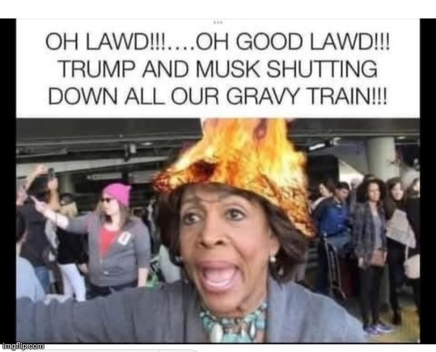 ... a lovely woman | image tagged in libtard,moron,butthurt liberals | made w/ Imgflip meme maker