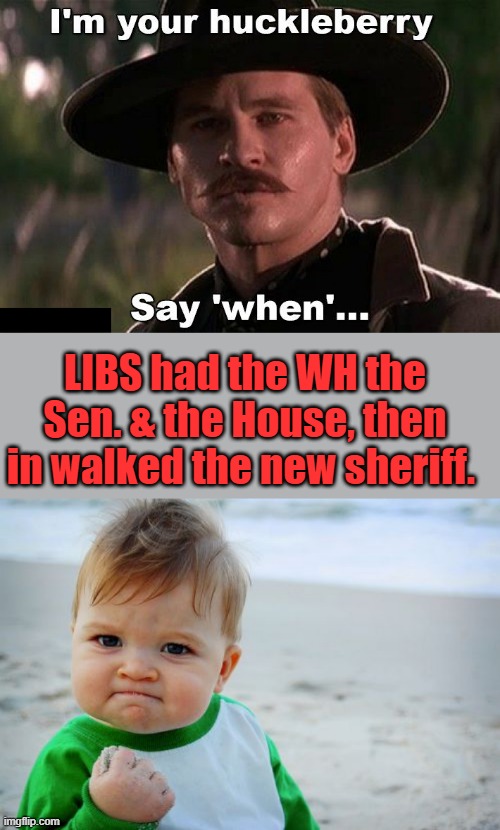 LIBS had the WH the Sen. & the House, then in walked the new sheriff. | image tagged in memes,success kid original | made w/ Imgflip meme maker