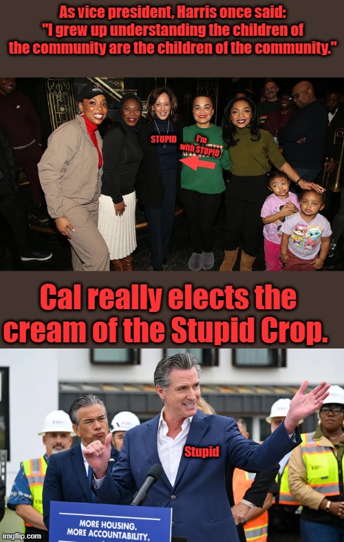 " It's a Club" and useless NWO stooges & they hate America | As vice president, Harris once said: "I grew up understanding the children of the community are the children of the community."; STUPID; I'm with STUPID; Cal really elects the cream of the Stupid Crop. Stupid | made w/ Imgflip meme maker