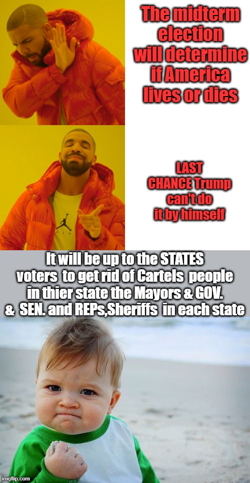 The midterm election will determine if America lives or dies; LAST CHANCE Trump can't do it by himself; It will be up to the STATES voters  to get rid of Cartels  people in thier state the Mayors & GOV. &  SEN. and REPs,Sheriffs  in each state | image tagged in memes,success kid original | made w/ Imgflip meme maker