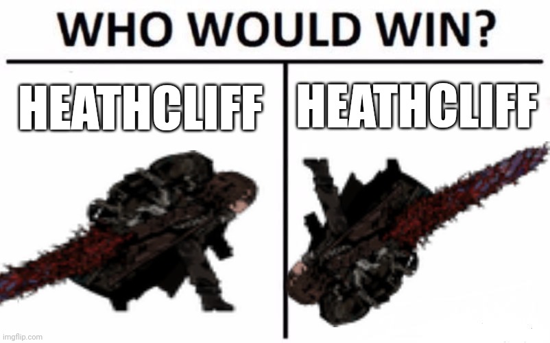 Mirror | HEATHCLIFF; HEATHCLIFF | image tagged in memes,who would win | made w/ Imgflip meme maker