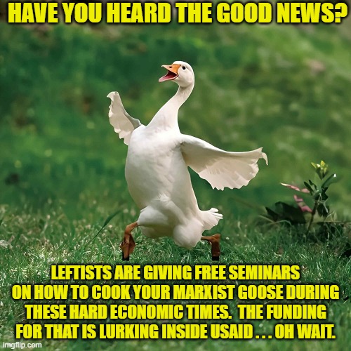 Darn!  There's always a catch. | HAVE YOU HEARD THE GOOD NEWS? LEFTISTS ARE GIVING FREE SEMINARS ON HOW TO COOK YOUR MARXIST GOOSE DURING THESE HARD ECONOMIC TIMES.  THE FUNDING FOR THAT IS LURKING INSIDE USAID . . . OH WAIT. | image tagged in yep | made w/ Imgflip meme maker