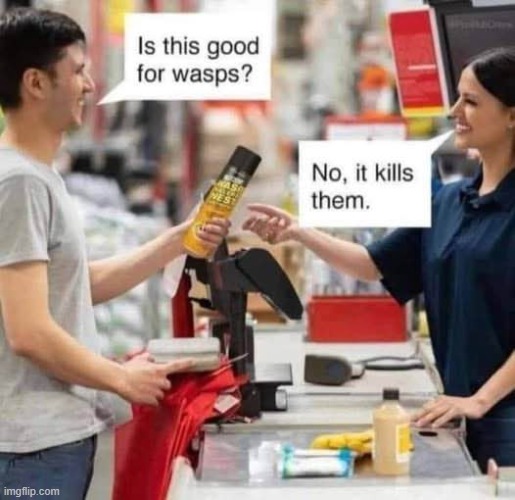 What we have here is a failure to communicate | image tagged in vince vance,wasps,insecticide,insects,memes,cool hand luke - failure to communicate | made w/ Imgflip meme maker