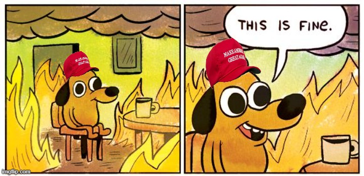 This Is Fine Meme | image tagged in memes,this is fine | made w/ Imgflip meme maker