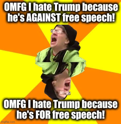 Make up your minds, libs | OMFG I hate Trump because he's AGAINST free speech! OMFG I hate Trump because
he's FOR free speech! | image tagged in background coloring yellow and orange,memes,trump derangement syndrome,free speech,democrats,europeans | made w/ Imgflip meme maker