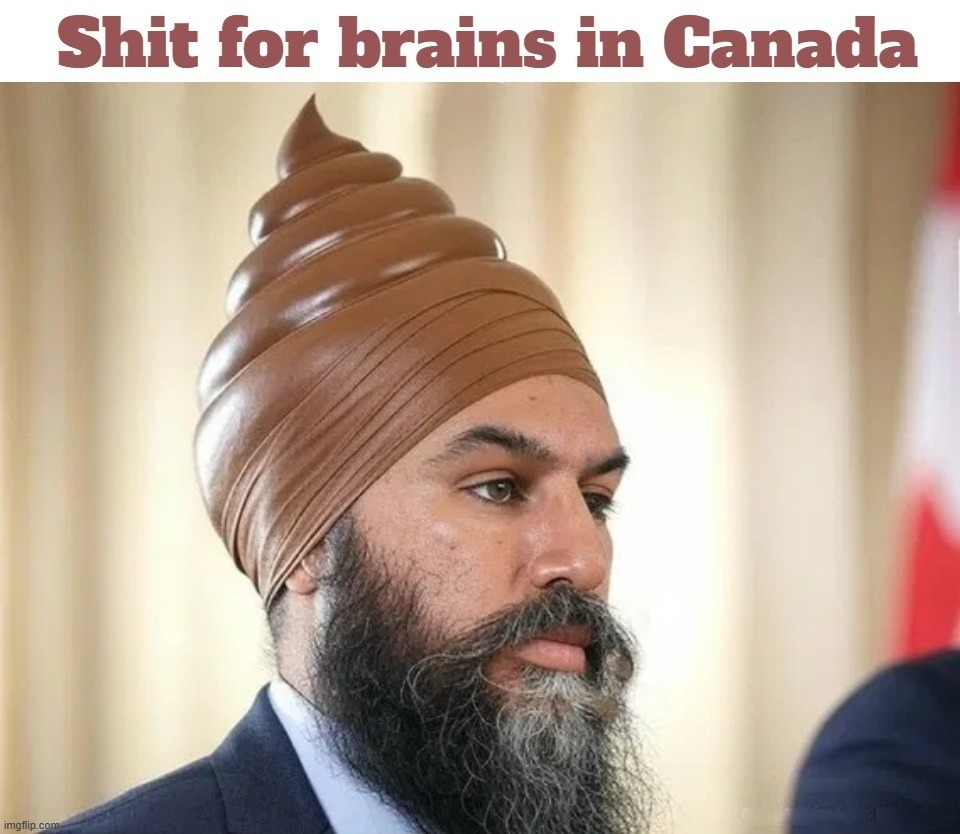 Canadian Poop Emoji | image tagged in meanwhile in canada,oh canada,shit for brains,house of commons,jagmeet singh,poop emoji | made w/ Imgflip meme maker