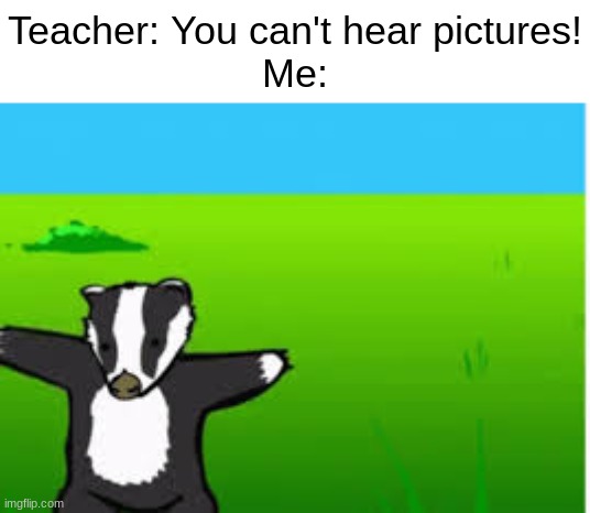 The good ol' days of the intenet. | Teacher: You can't hear pictures!
Me: | image tagged in badger,funny,memes | made w/ Imgflip meme maker