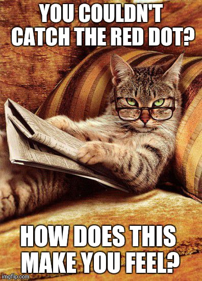 YOU COULDN'T CATCH THE RED DOT? HOW DOES THIS MAKE YOU FEEL? | image tagged in AdviceAnimals | made w/ Imgflip meme maker